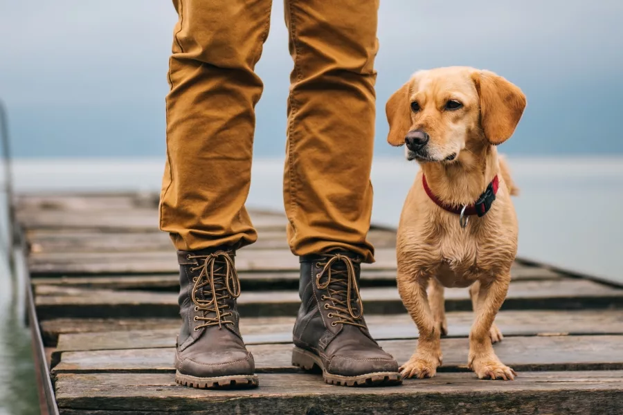 Best Waterproof Boots for Men