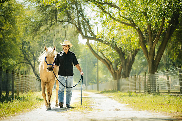 Why Do Cowboys Walk Funny